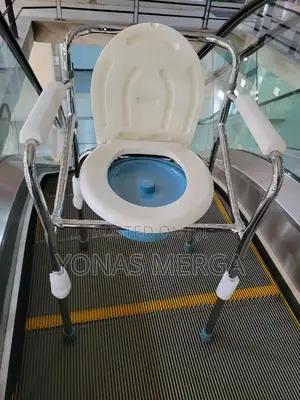 Folding Commode Toilet Surround畛غtoilet Seat and Lidded Pan