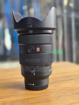 Sony 24-70mm F2.8 Professional G Master Lens