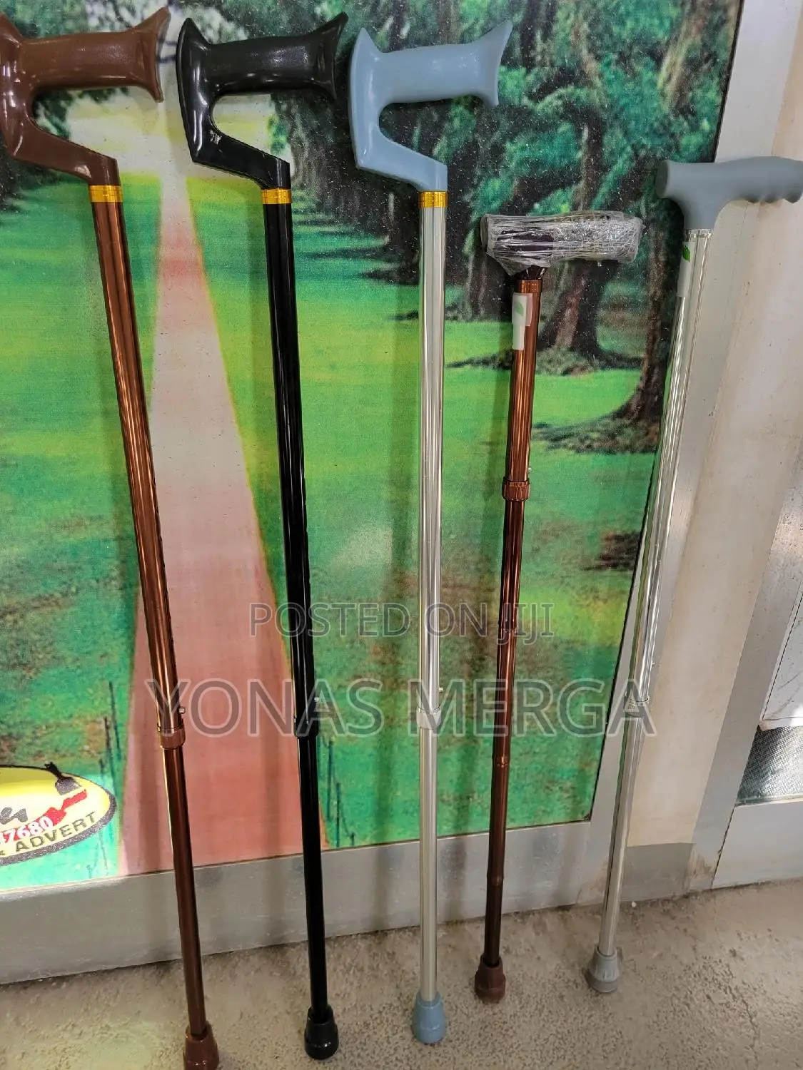 Walking Cane, and Preventing It From Accidental Readjustment