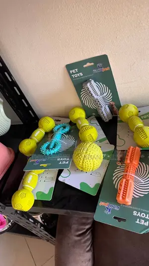 Photo - Toys for Dogs