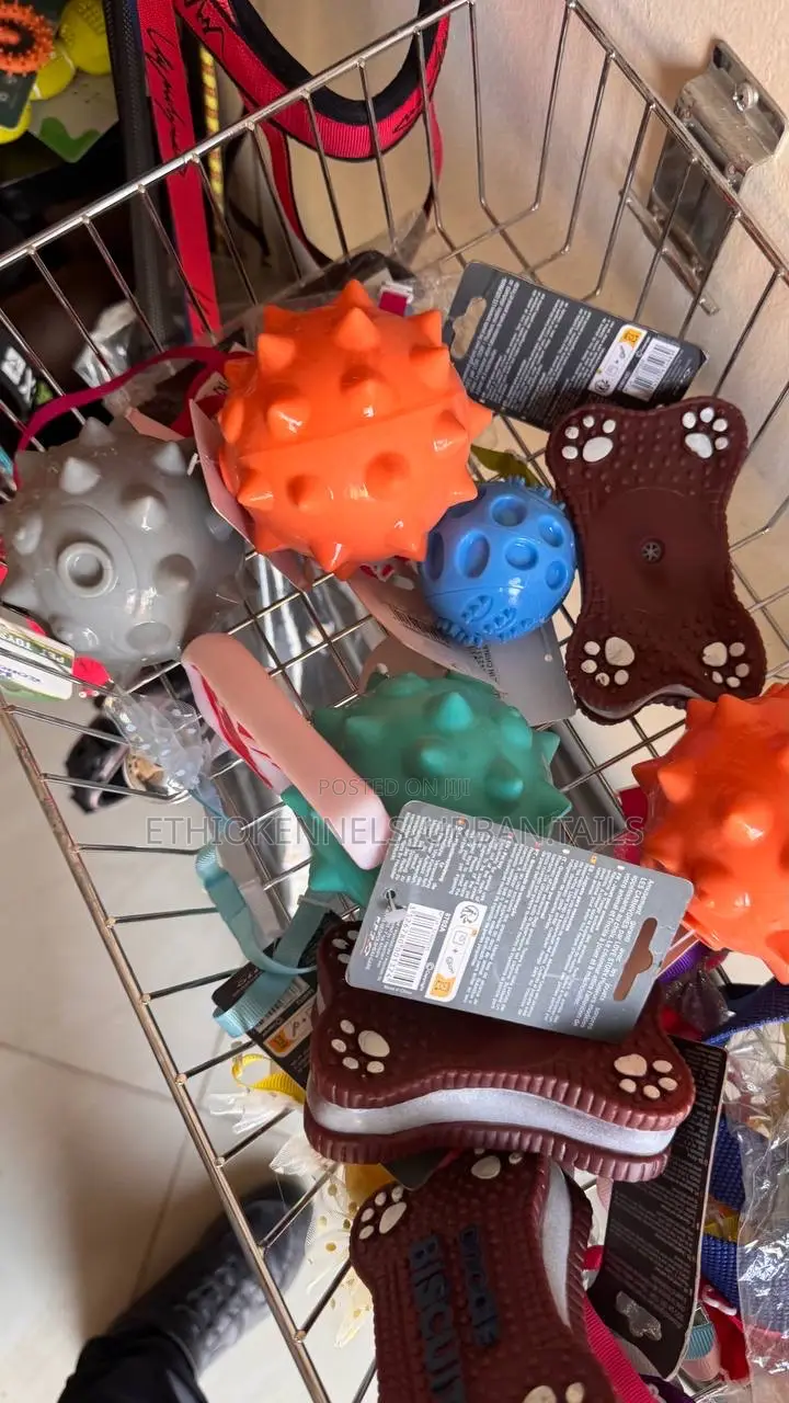 Toys for Dogs