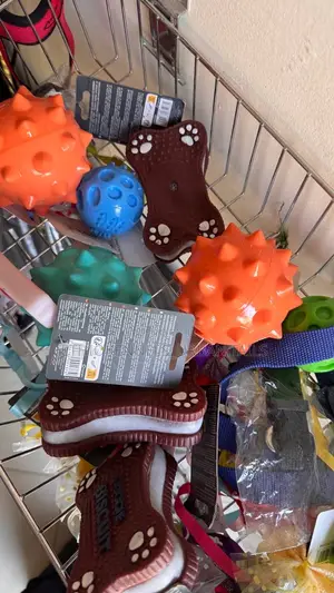 Toys for Dogs