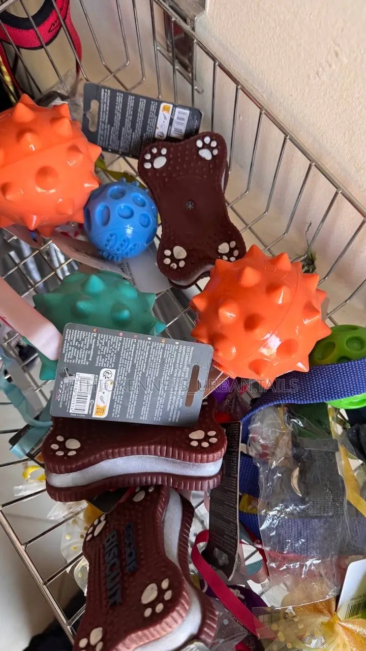 Toys for Dogs
