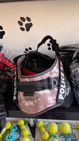 Photo - Dogs Harness and Leash