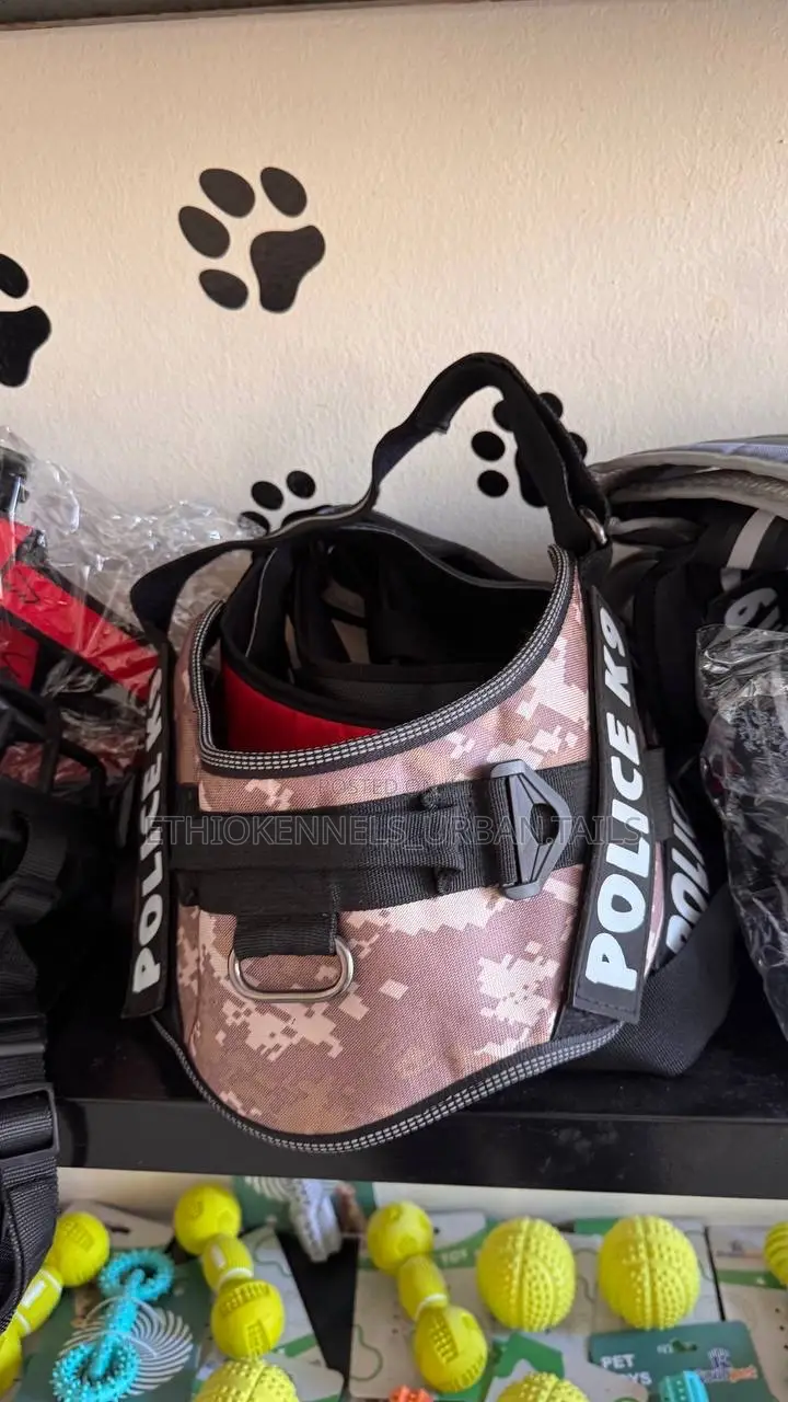 Dogs Harness and Leash