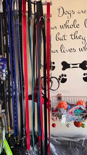 Dogs Harness and Leash