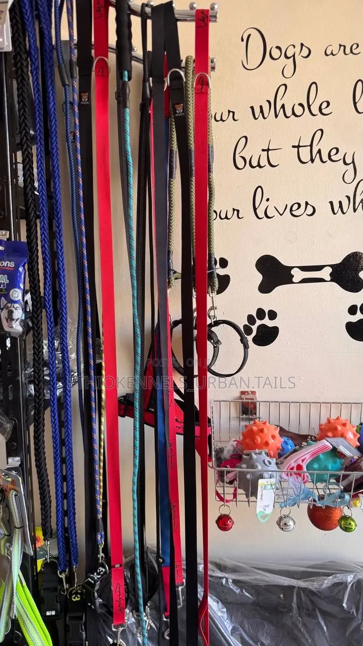 Dogs Harness and Leash