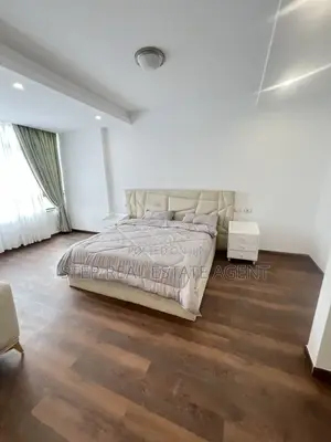 Furnished 2bdrm Apartment in Bole for rent