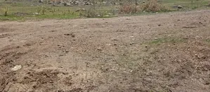 የሚሸጥ ለኢንዱስትሪ የተወሰደ ቦታ Land for Sale