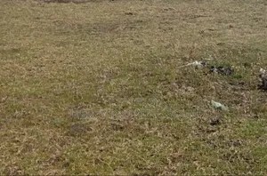 Photo - የሚሸጥ ቦታ አያት አከባቢland for Sale Residential
