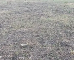 የሚሸጥ ቦታ አያት አከባቢland for Sale Residential