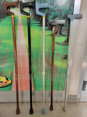 Photo - Walking Sticks//Spacelite Cane – All-in-One