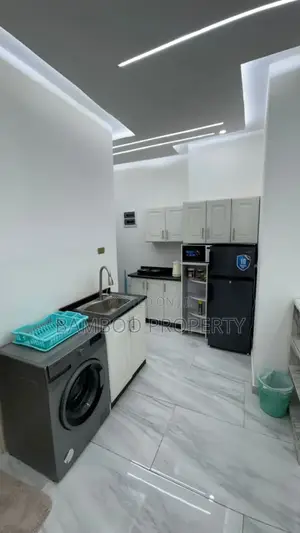 Furnished 1bdrm Apartment in Bole for rent