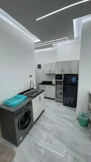 Furnished 1bdrm Apartment in Bole for rent