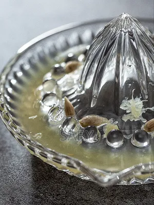 Manual Fruit Juicer With Jug