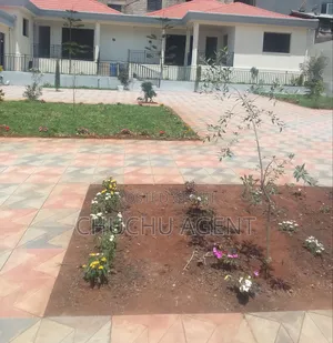 Rent for Kg School የህፃናት ት/ቤት ኪራይ