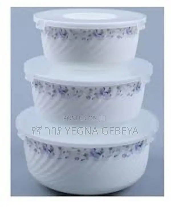 3-Piece Bowl Set With Lids Stylish