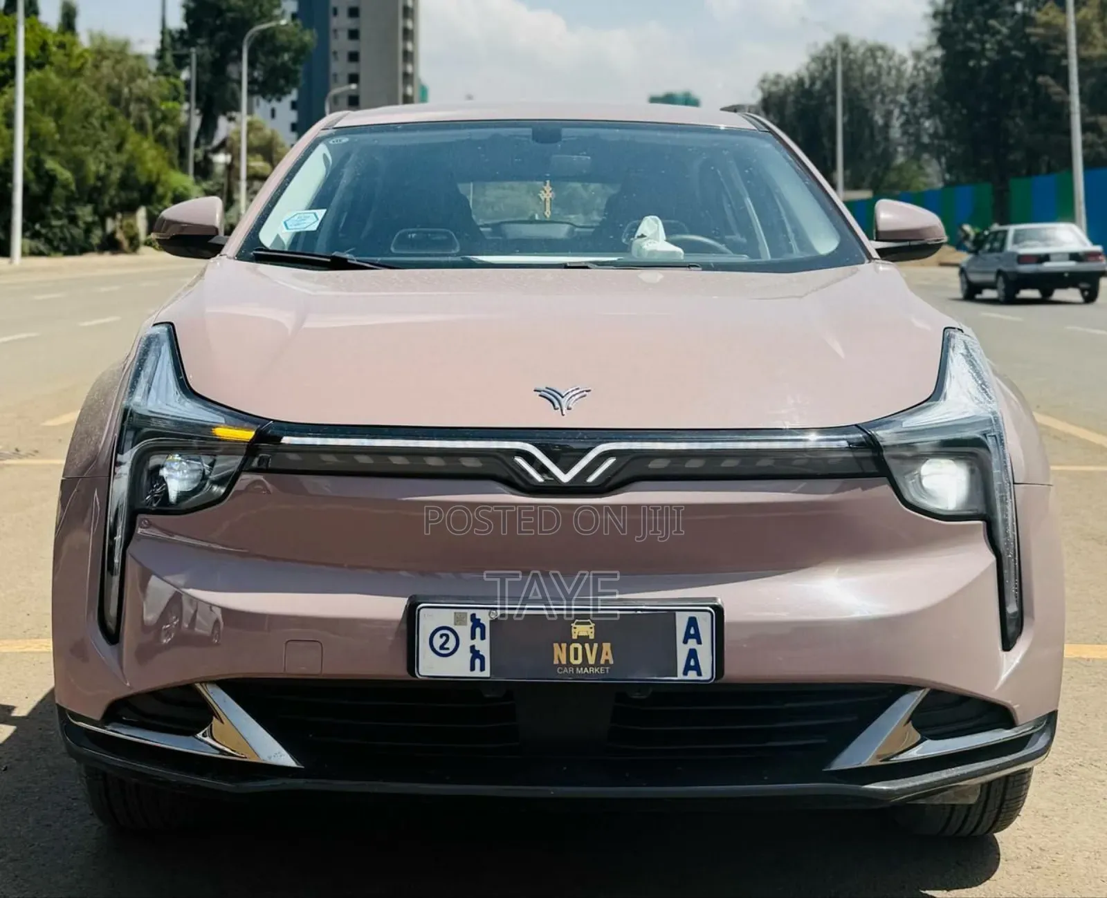 Hozon Neta U 2023 Pink