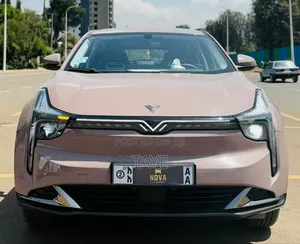 Photo - Hozon Neta U 2023 Pink