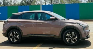 Hozon Neta U 2023 Pink