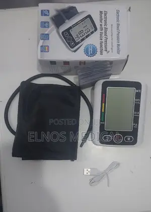 Electronic Blood Pressure Monitor