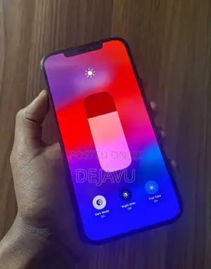 Apple iPhone 12 Pro Max 256 GB Blue