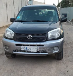 Photo - Toyota RAV4 2005 Gray