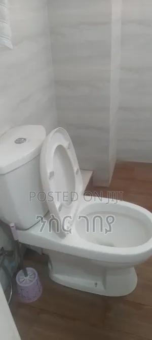 Photo - Furnished 3bdrm House in Ayat 49, 40/60, Yeka for rent