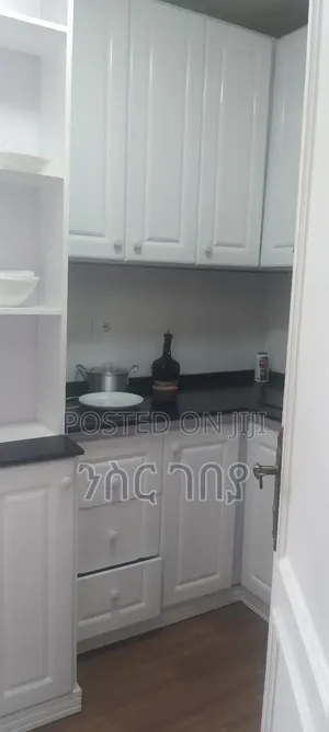 Furnished 3bdrm House in Ayat 49, 40/60, Yeka for rent