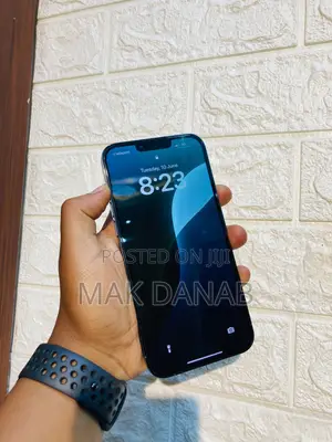 Apple iPhone 13 Pro Max 256 GB Blue