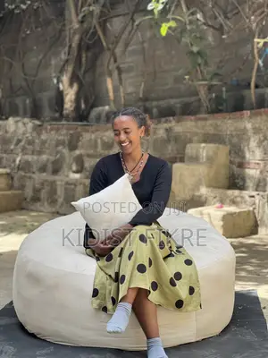 ምቹ ቢን ባግ በተለያዩ ከለር እና ሳይዝ