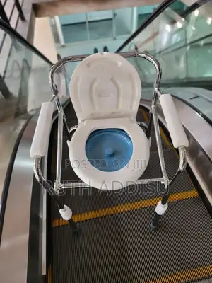 Commode Toilet Chair黨員commode Chair局長poty Chair她與commode New