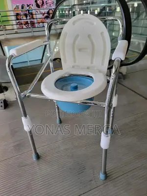 2-in-1 Adult Potty Chair余ةfits All Toilets -This Regular|Pot