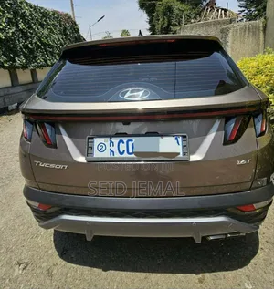 Hyundai Tucson 2022 Brown