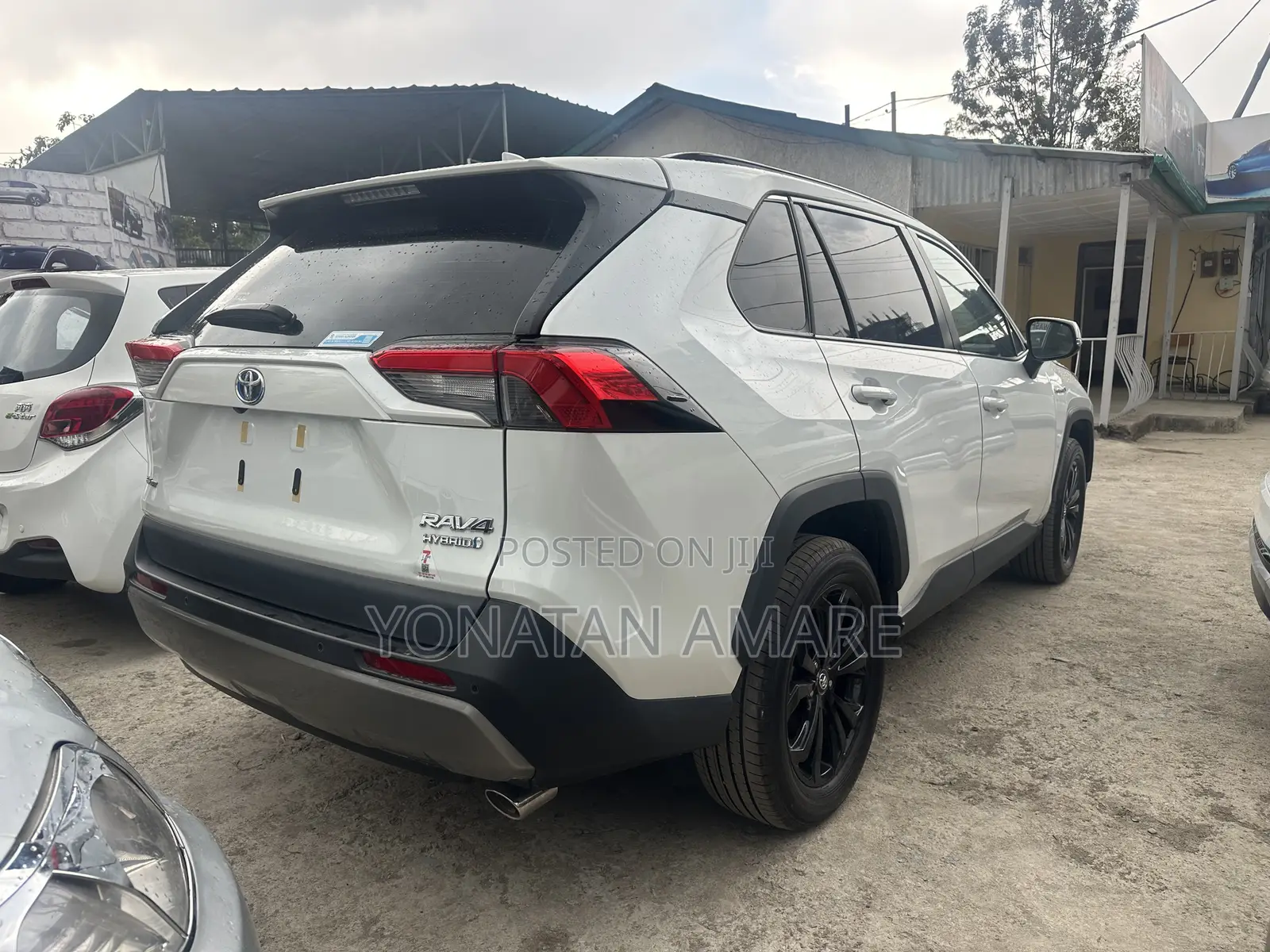 New Toyota RAV4 2024 White