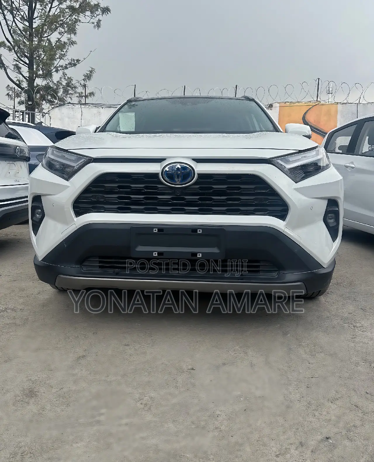 New Toyota RAV4 2024 White