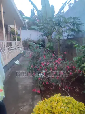 Photo - 4 Bedroom Villa House Fernished Guest House for Rent