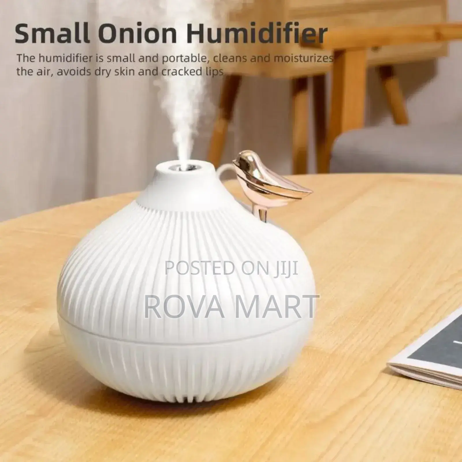 Portable Led Steam Smart Mist