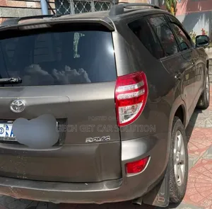 Toyota RAV4 2010 Brown