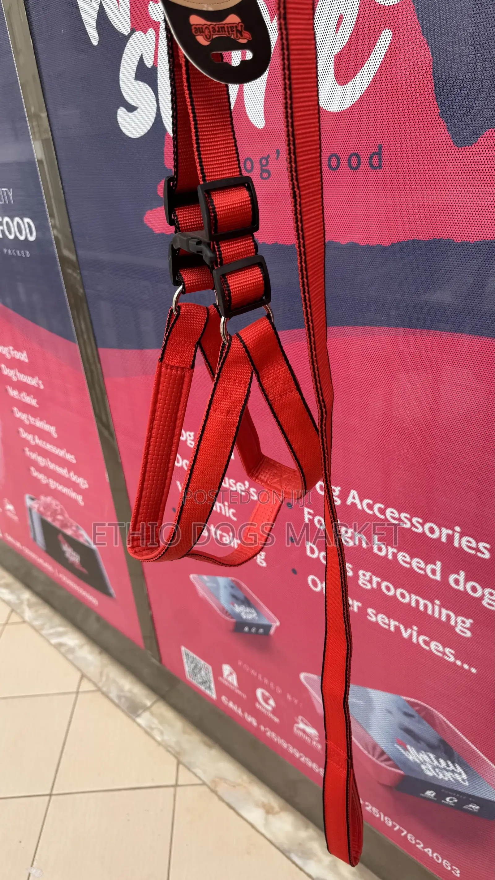  Harness and Leash