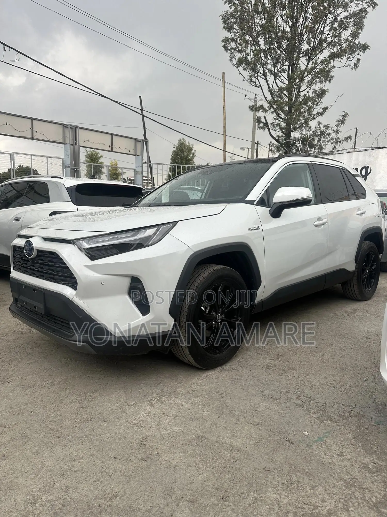New Toyota RAV4 2024 White