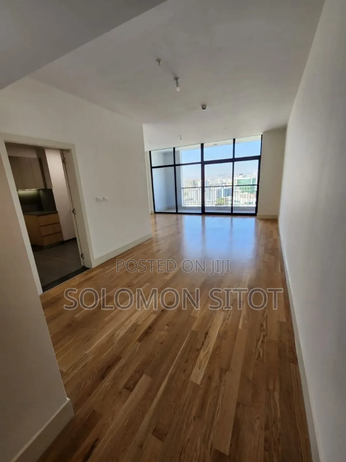 Furnished 3bdrm Apartment in Luxury Apartment, Kirkos for rent