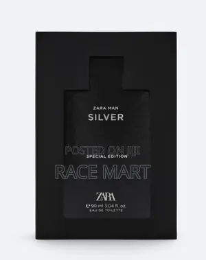 Photo - Zara Man Silver