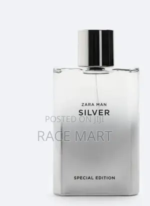 Zara Man Silver