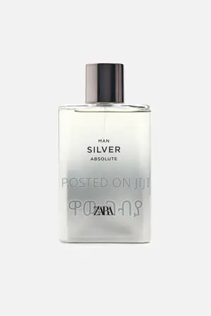 Photo - Zara Man Silver