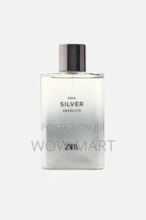 Zara Man Silver