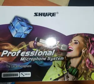 Shure Wireless Mic 2 Channel