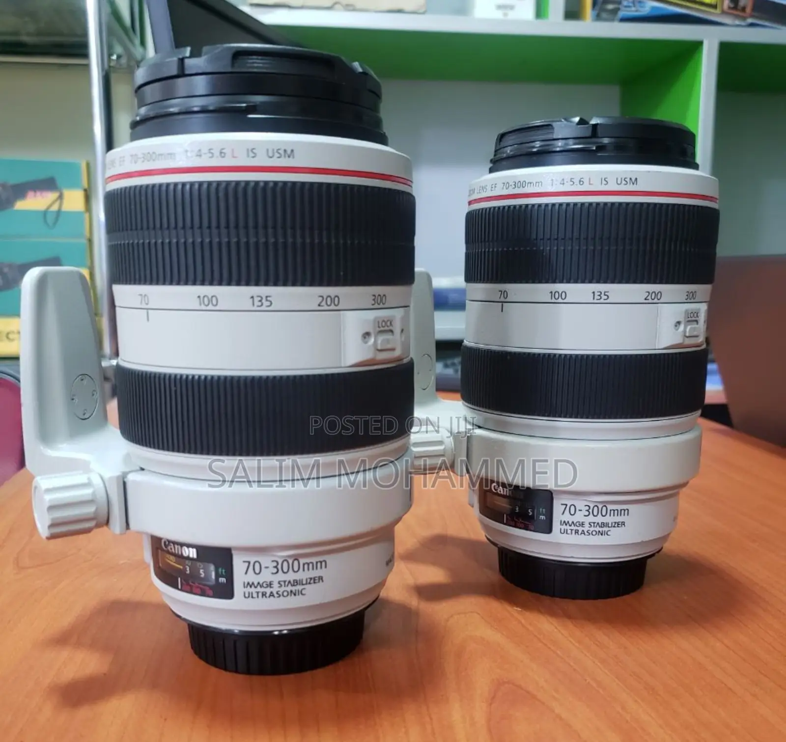 Canon 70-300mm F/4 Zebra Lens