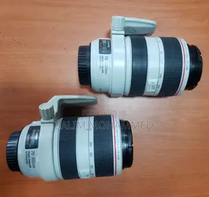 Canon 70-300mm F/4 Zebra Lens