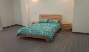 Photo - Furnished 3bdrm Apartment in Lideta for rent